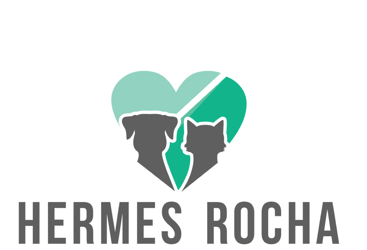 Cartão Hermes Rocha