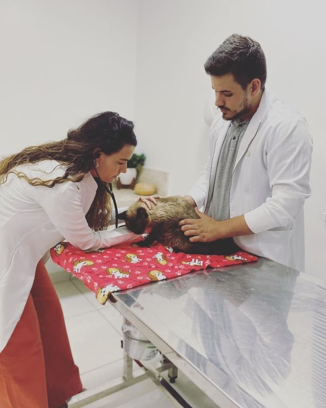 Clínica Veterinária Hermes Rocha
